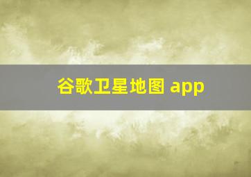 谷歌卫星地图 app